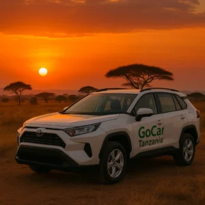 Car Hire Tanzania No Deposit